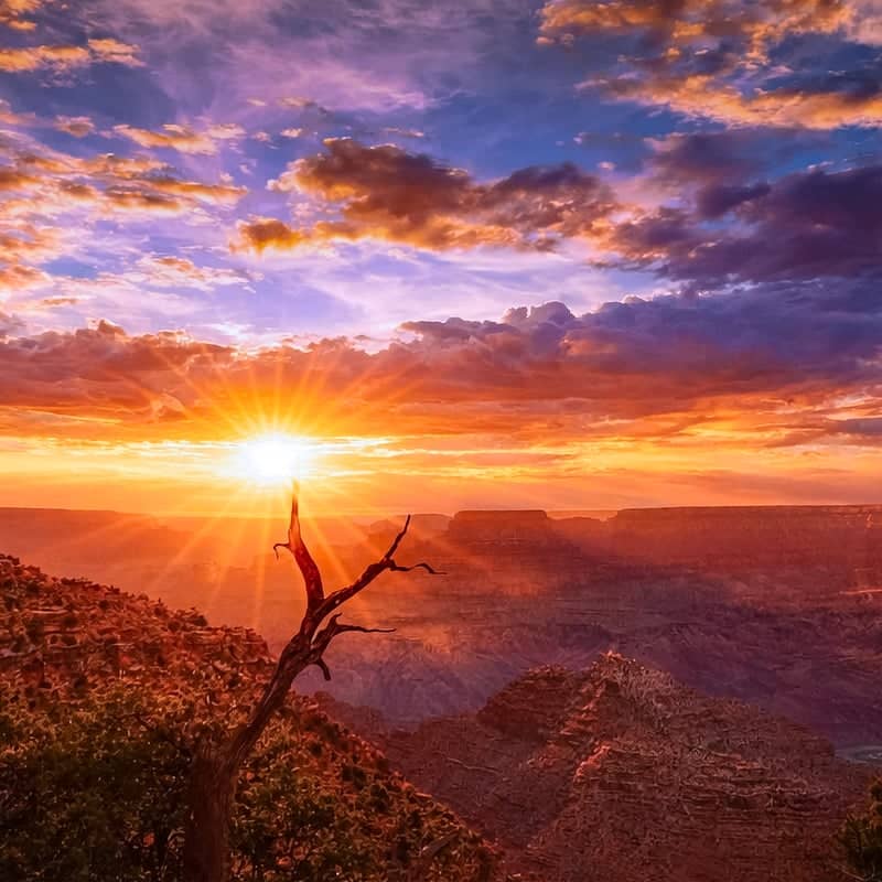 Grand Canyon South Rim - Image 1