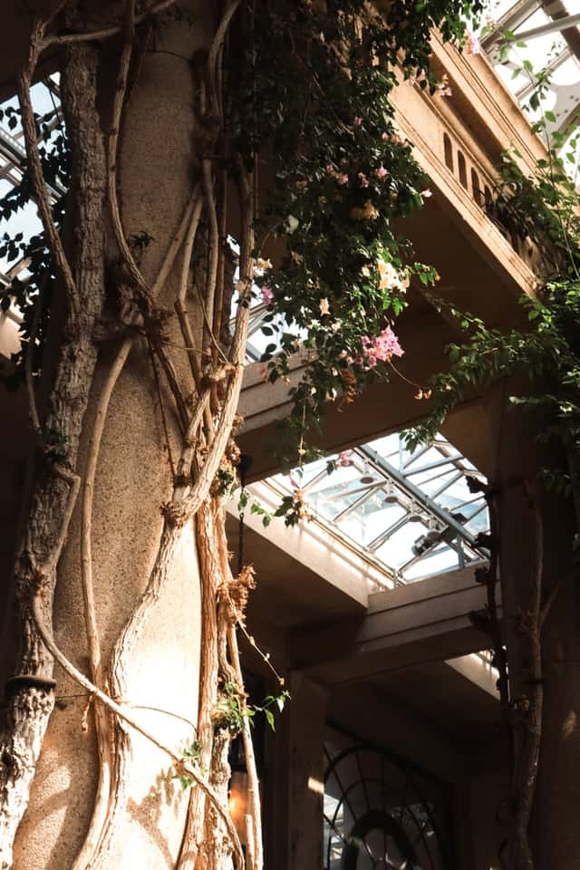 Longwood Gardens Conservatory