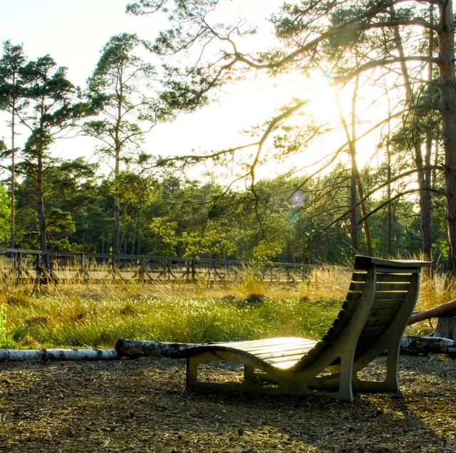Totenmoor Nature Reserve Rest Area - Image 1