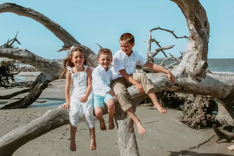 Driftwood Beach - Image 1