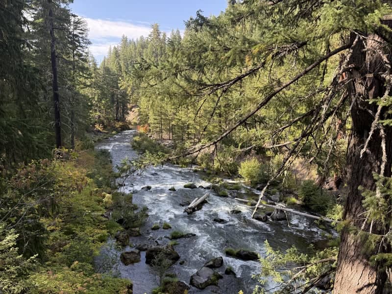 Rogue River Scenic Overlook - Image 1