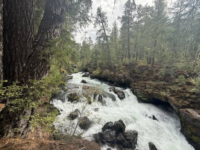 Rogue River Gorge - Image 1