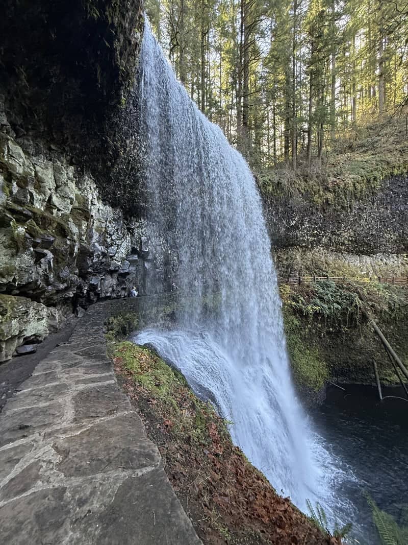 South Falls, Silver Falls State Park - Image 1