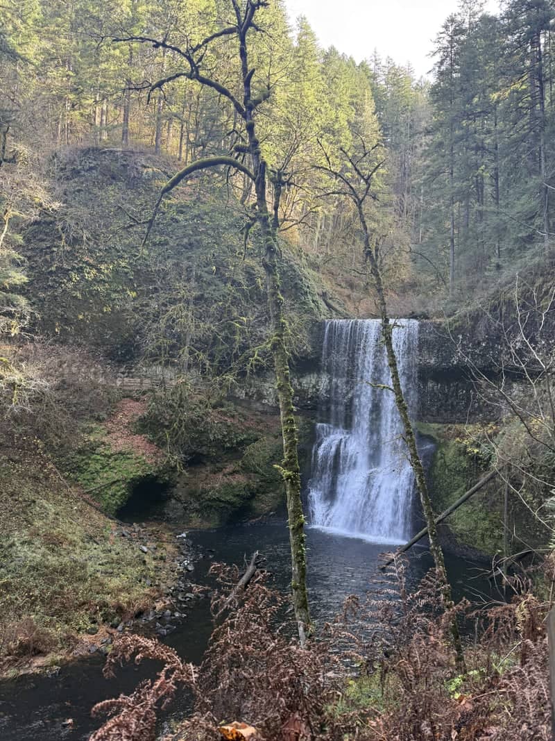 Middle North Falls - Image 1