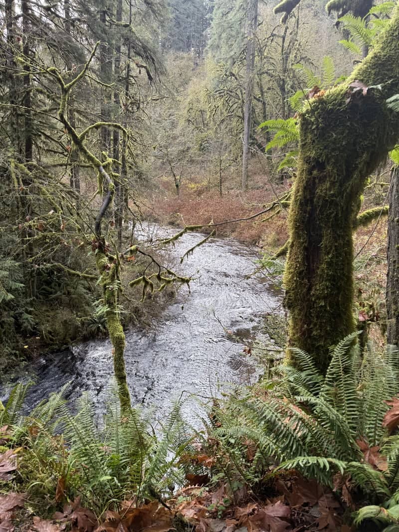 Silver Falls State Park - Image 1