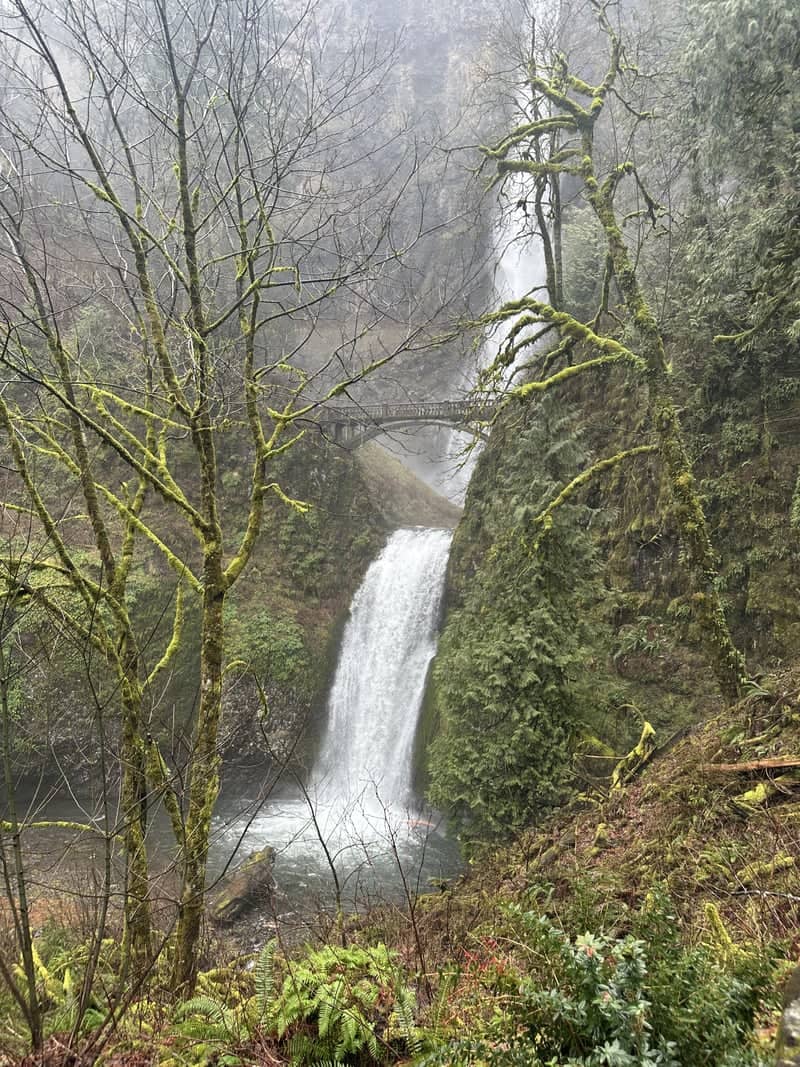 Multnomah Falls - Image 1