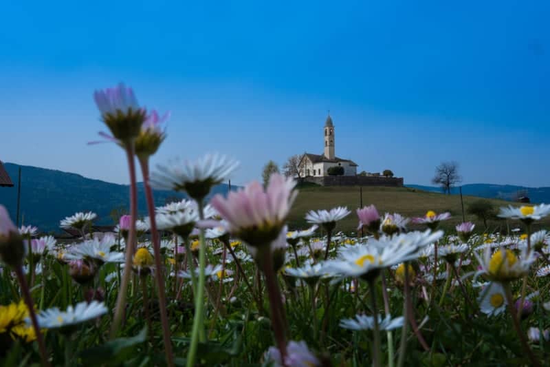 Church of San Giorgio, Sorriva - Image 1