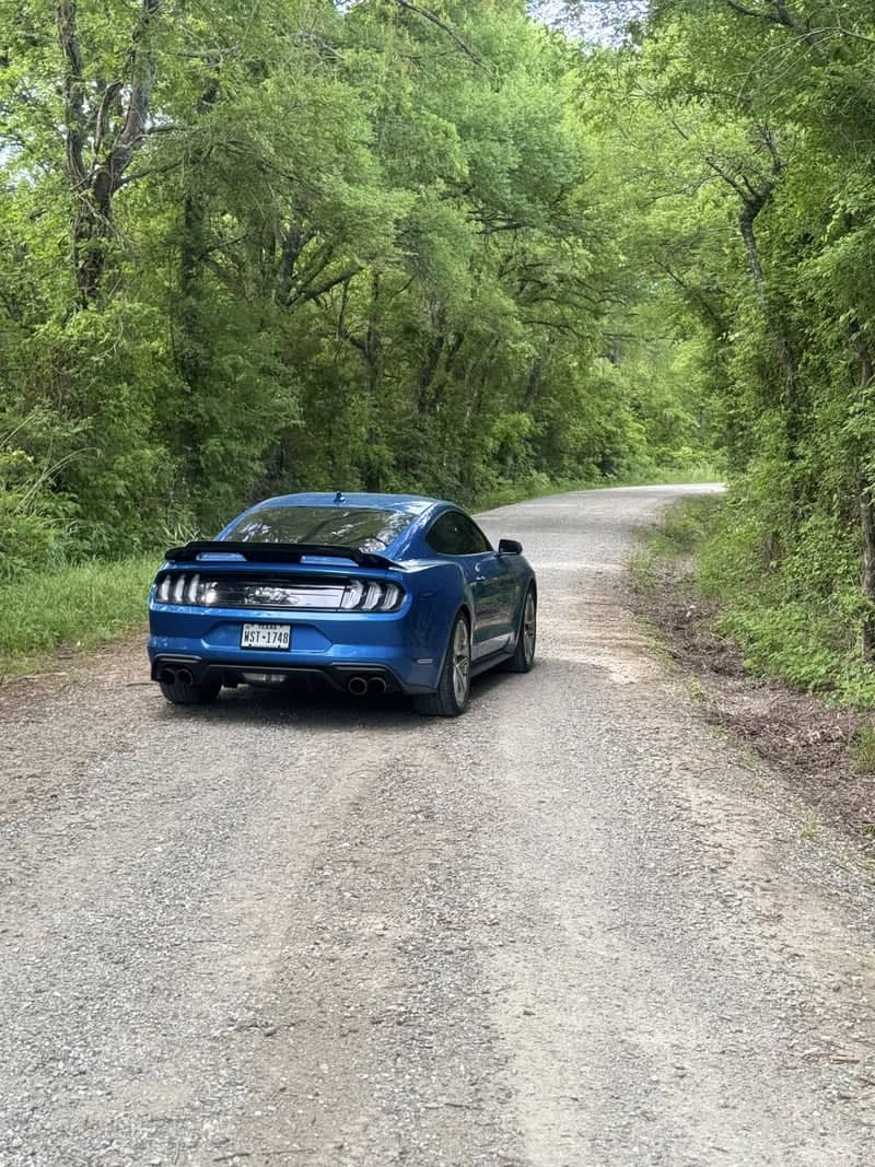 Wooded Country Road in Leonard - Image 1