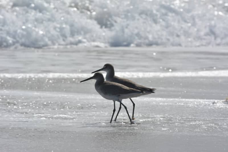 Jensen Beach Shoreline - Image 1