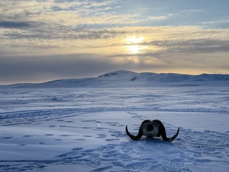 Axel Heiberg Island Tundra - Image 1