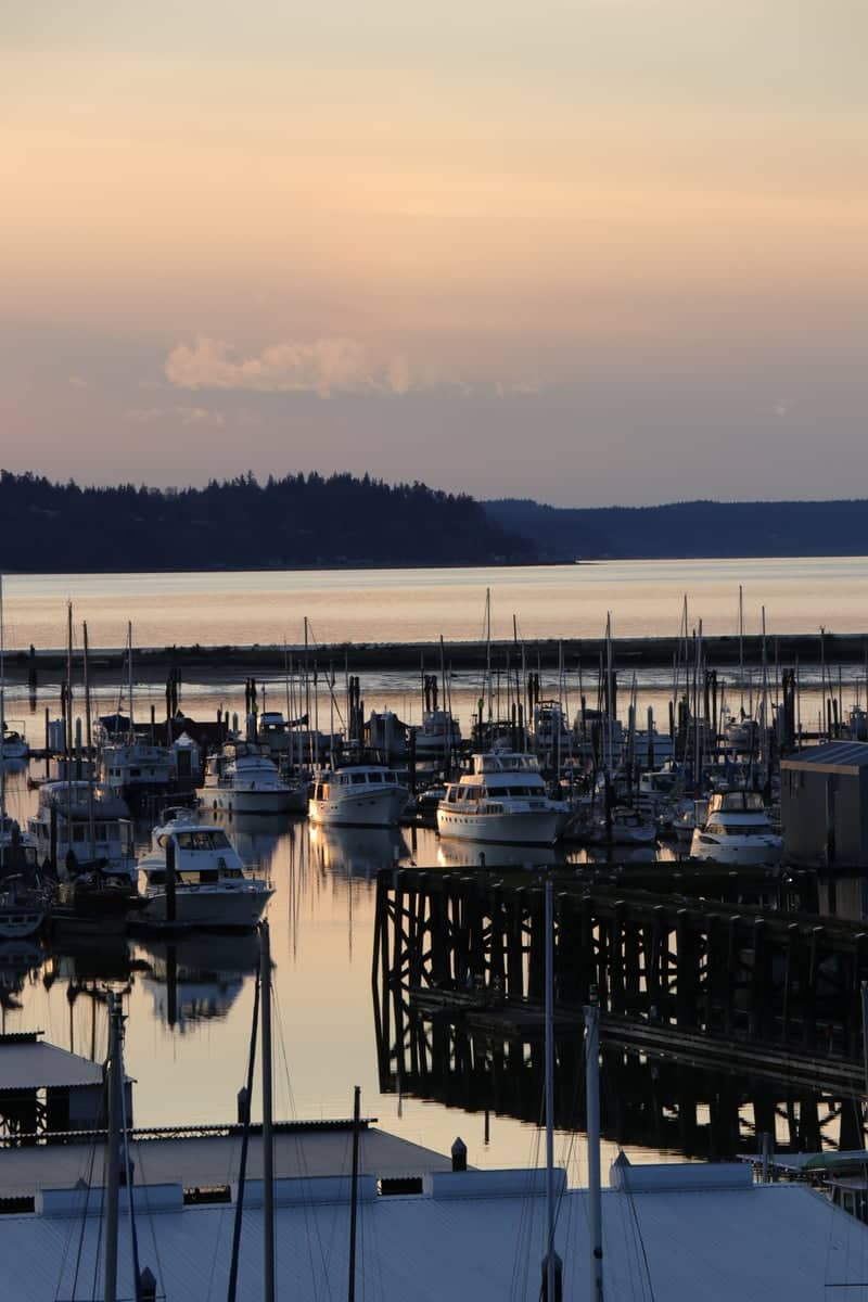 Port of Everett Marina - Image 1