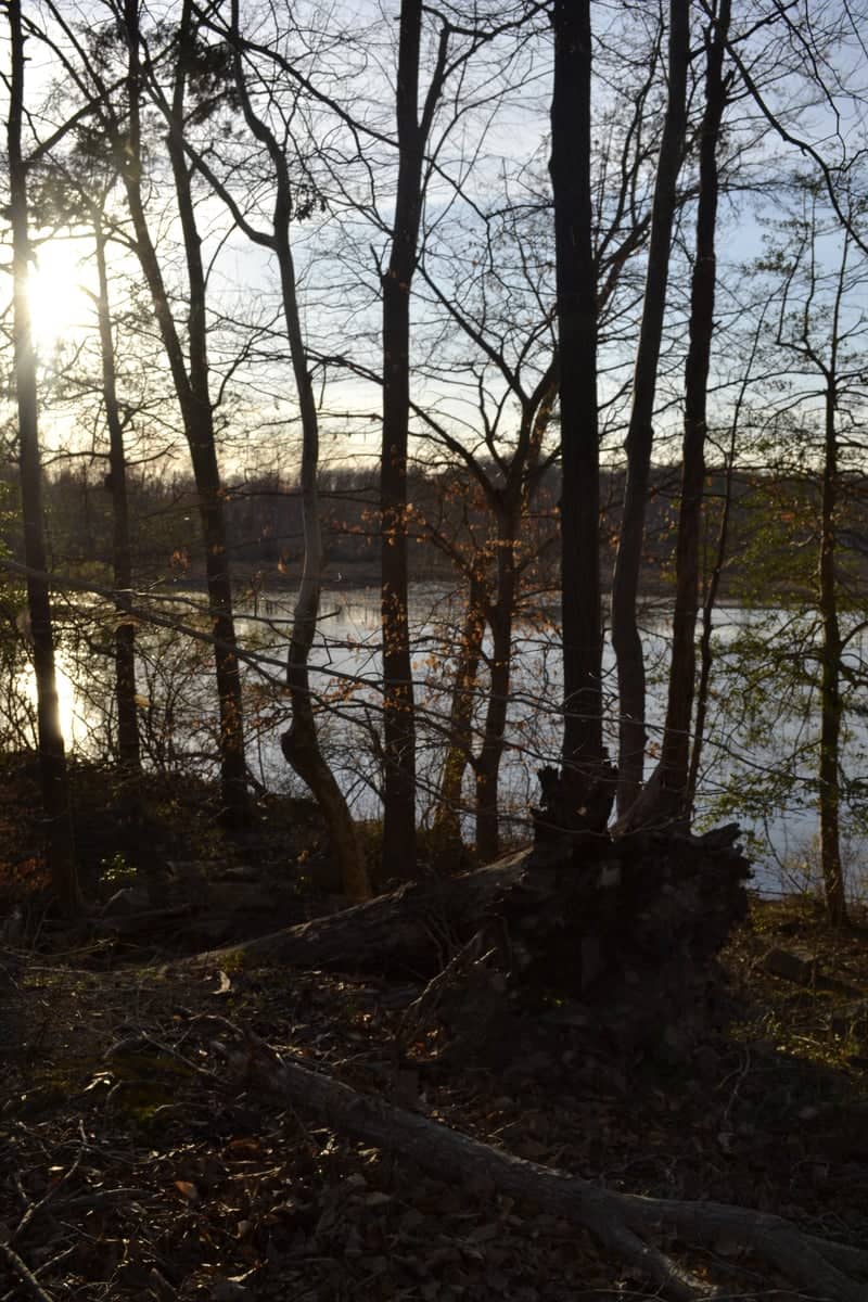 Government Island Overlook - Image 1