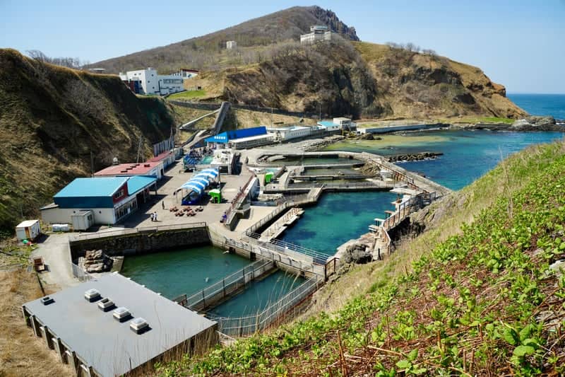 Otaru Aquarium Marine Park - Image 1