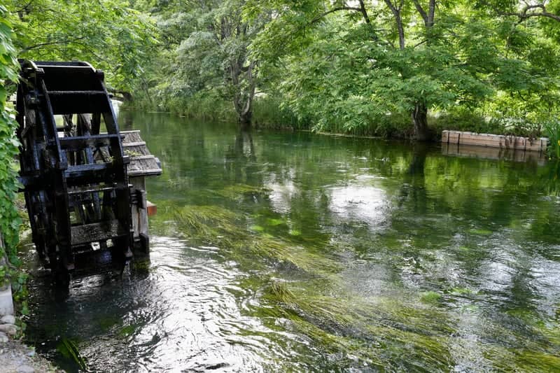 Daio Wasabi Farm Waterwheels - Image 1