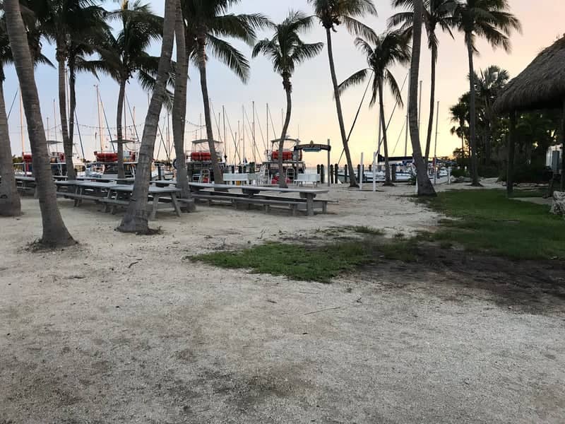 Robbie's of Islamorada - Image 1