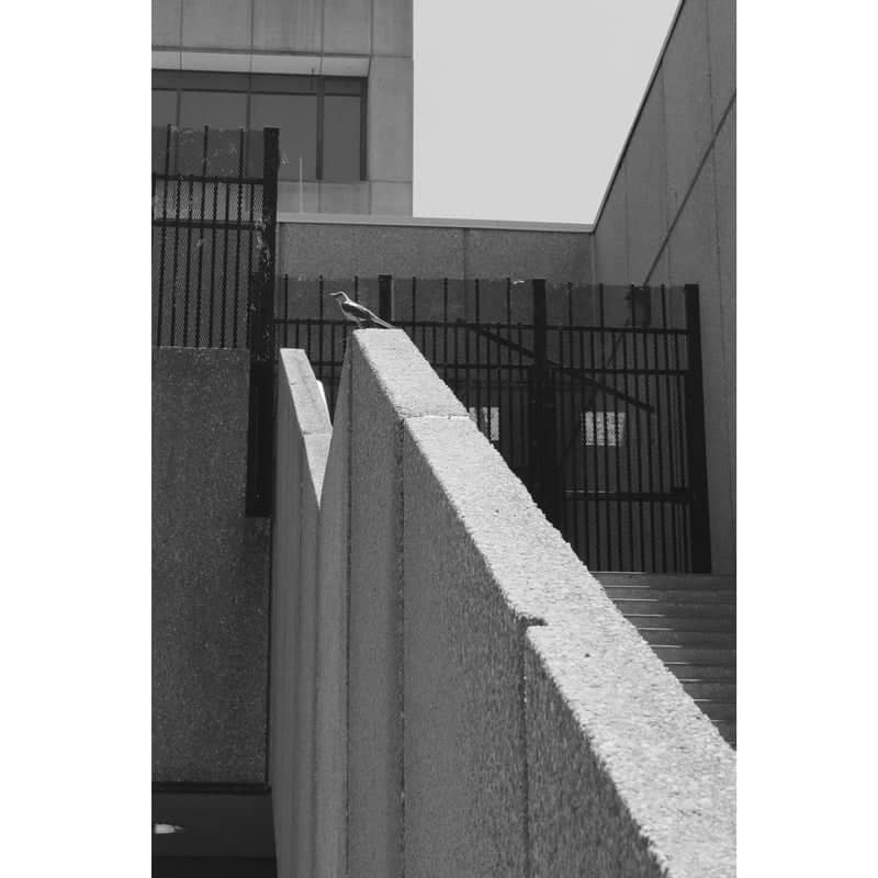 Pensacola Urban Architecture - Image 1