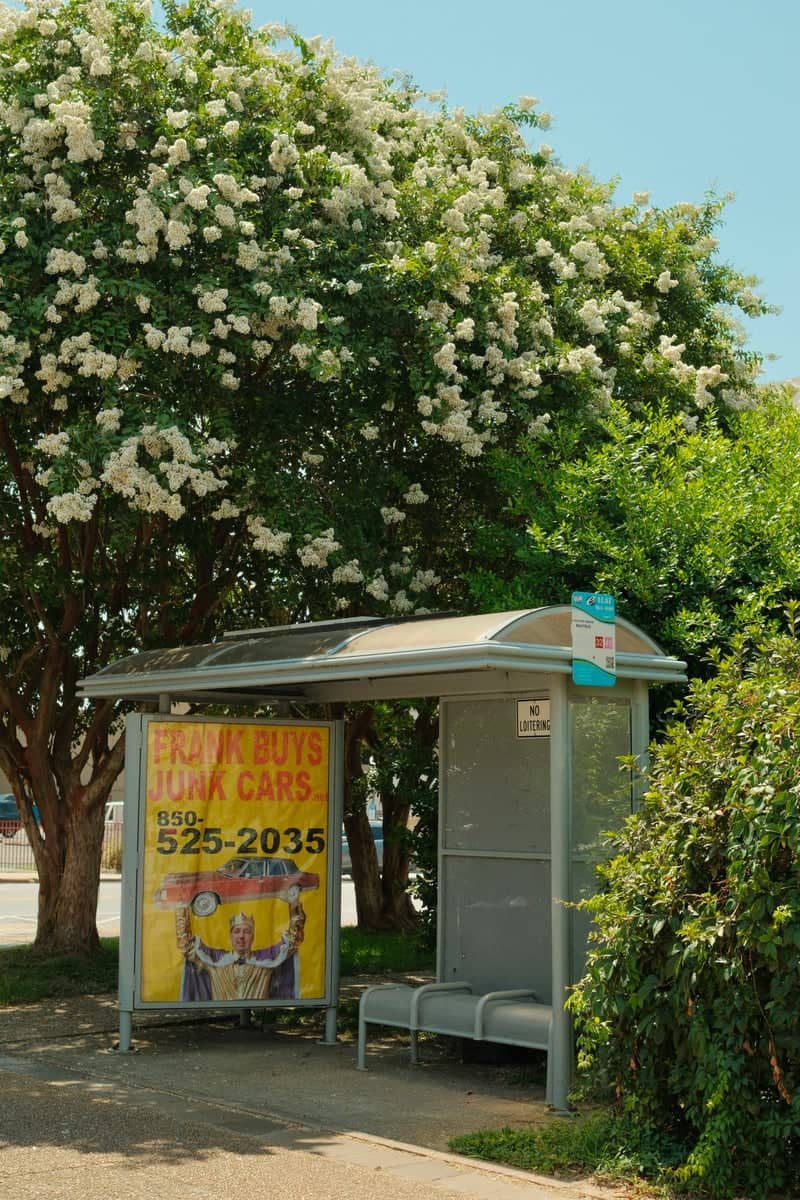 North H Street Bus Shelter - Image 1