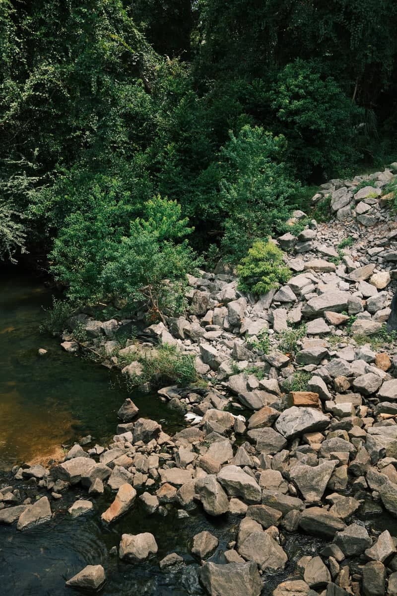 Wright Street Creek Bank - Image 1