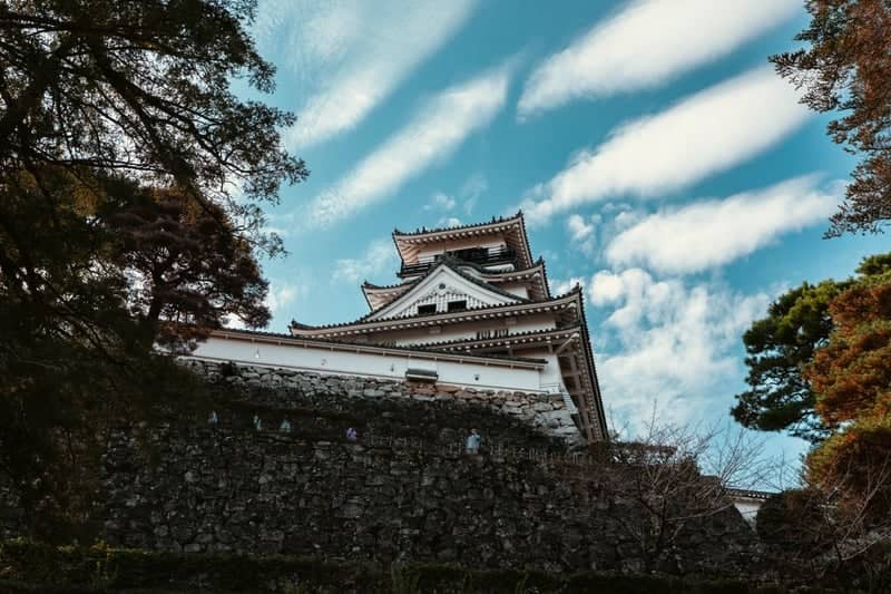 Kochi Castle - Image 1