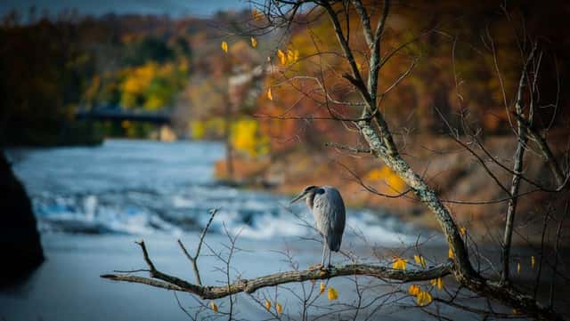 Mohawk River Overlook near Cohoes Falls