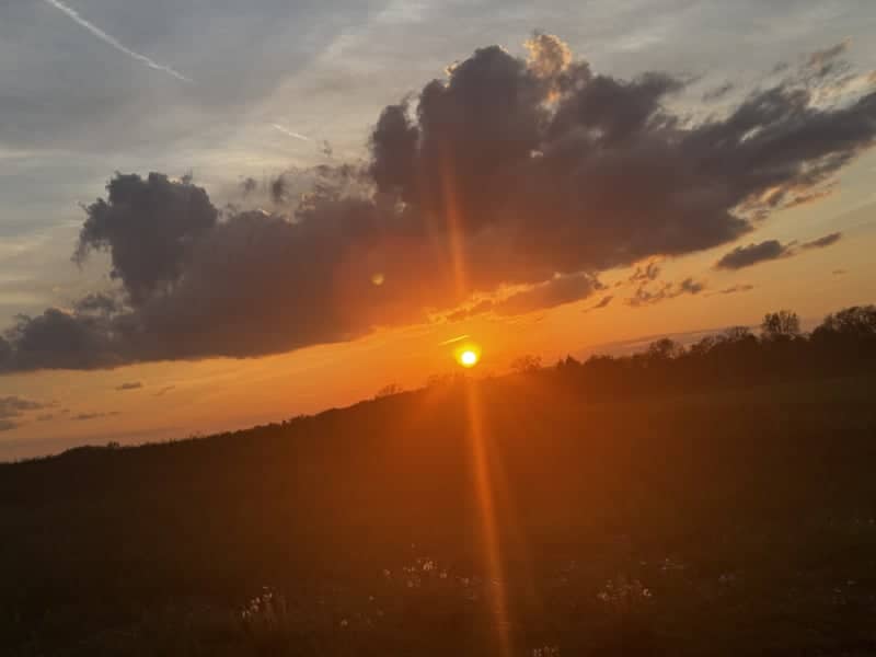 Jones Rural Sunset Field - Image 1