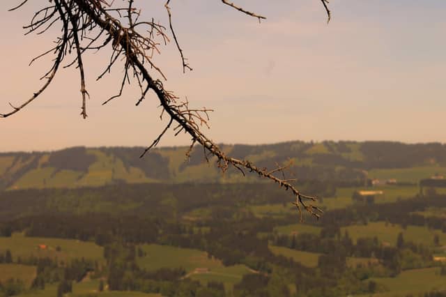 Allgäu Valley Overlook - Image 1