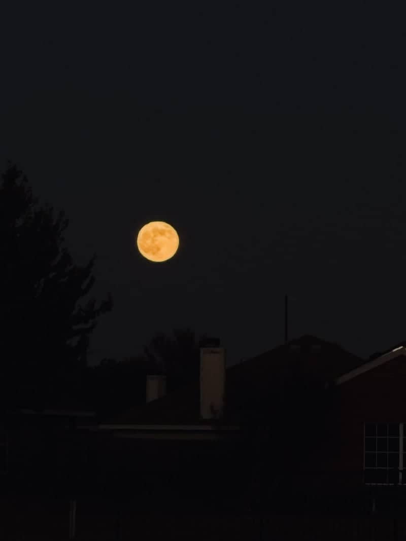 Suburban Moonrise in Royse City - Image 1