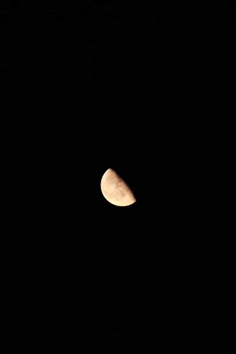 West Texas Night Sky - Image 1