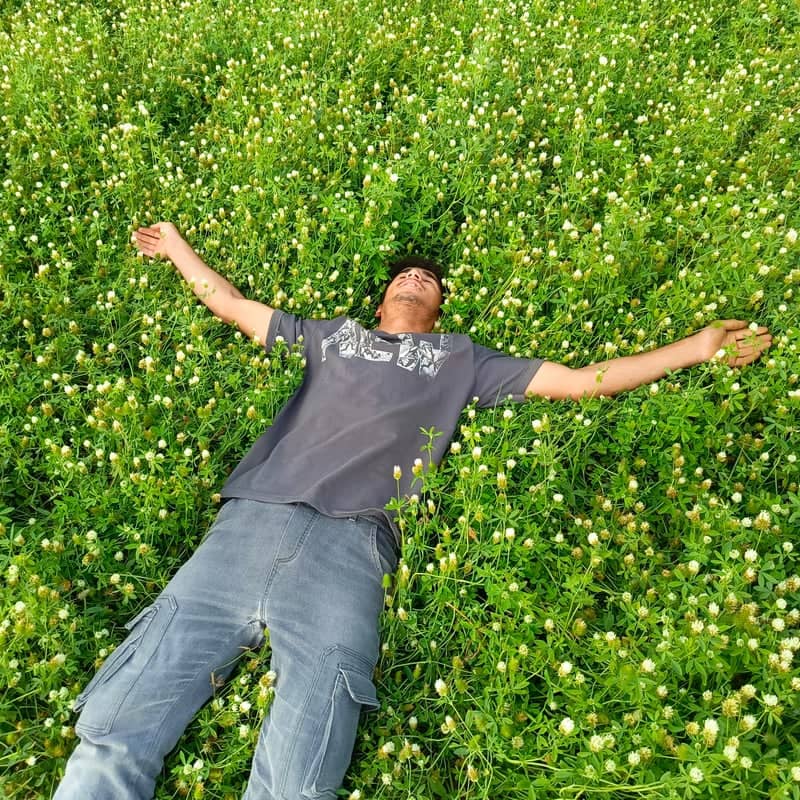 Maysan Wildflower Fields - Image 1