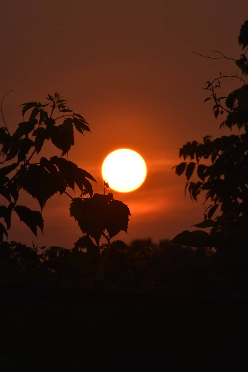 Hudson River Waterfront Sunset - Image 1