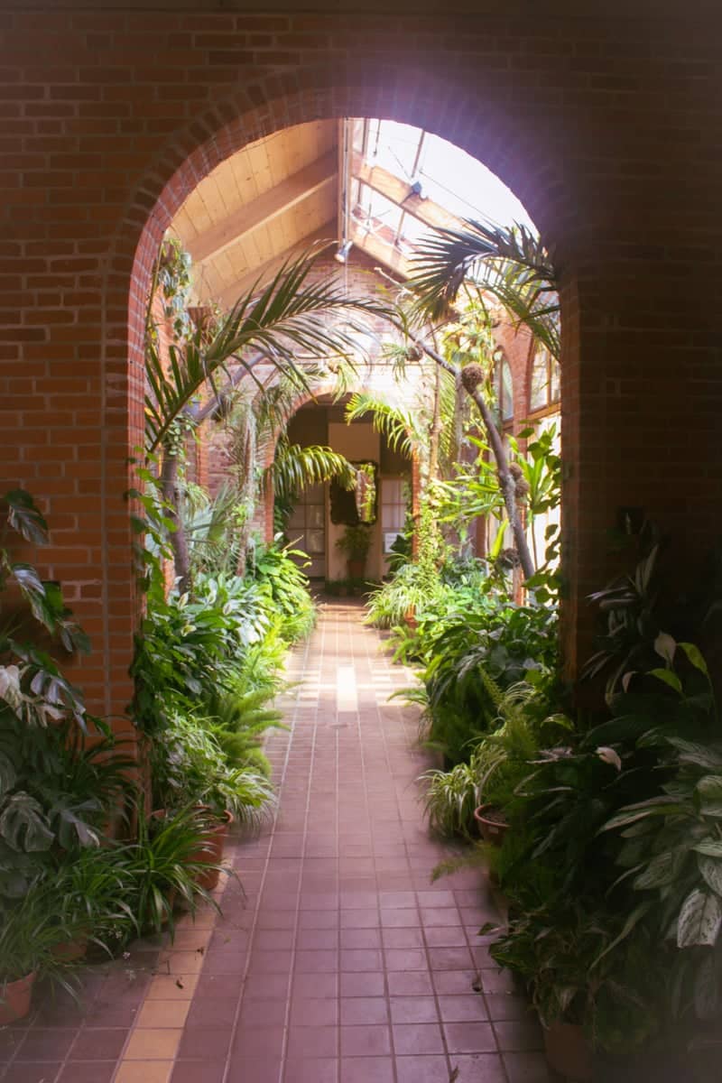 Kingwood Center Gardens Conservatory - Image 1