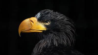 Wildpark Poing - Image 1