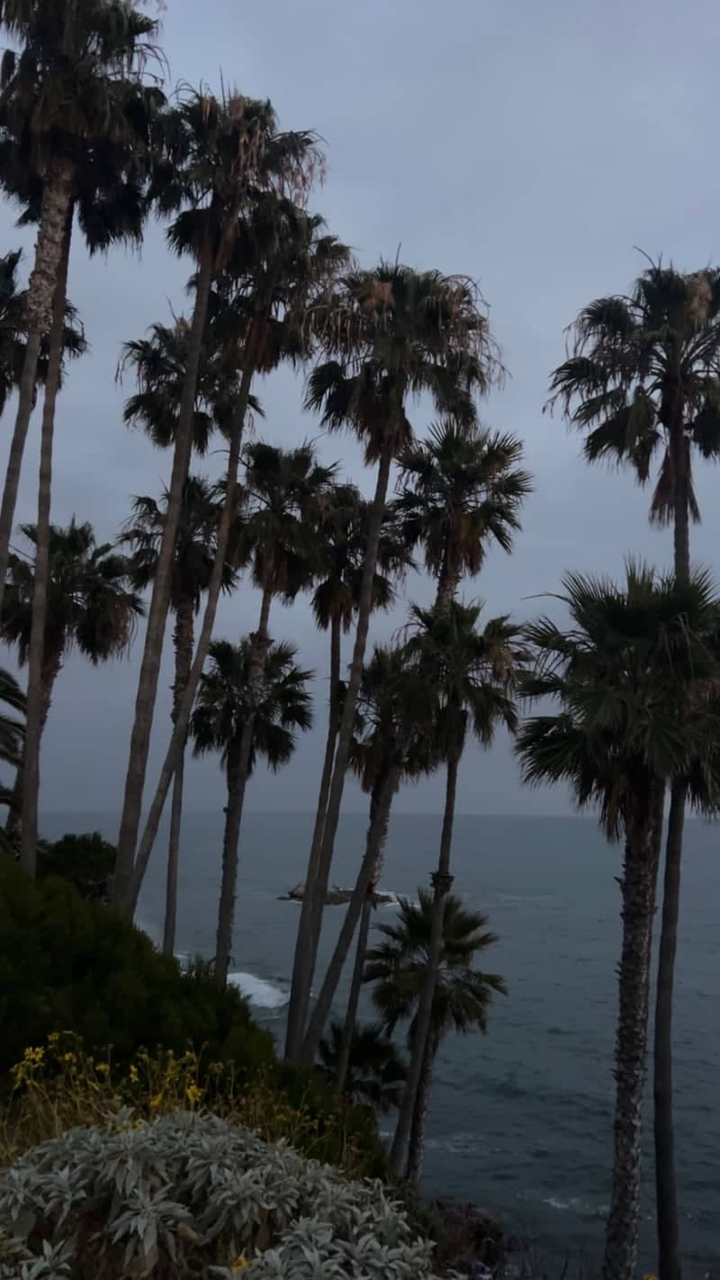 Heisler Park Overlook - Image 1
