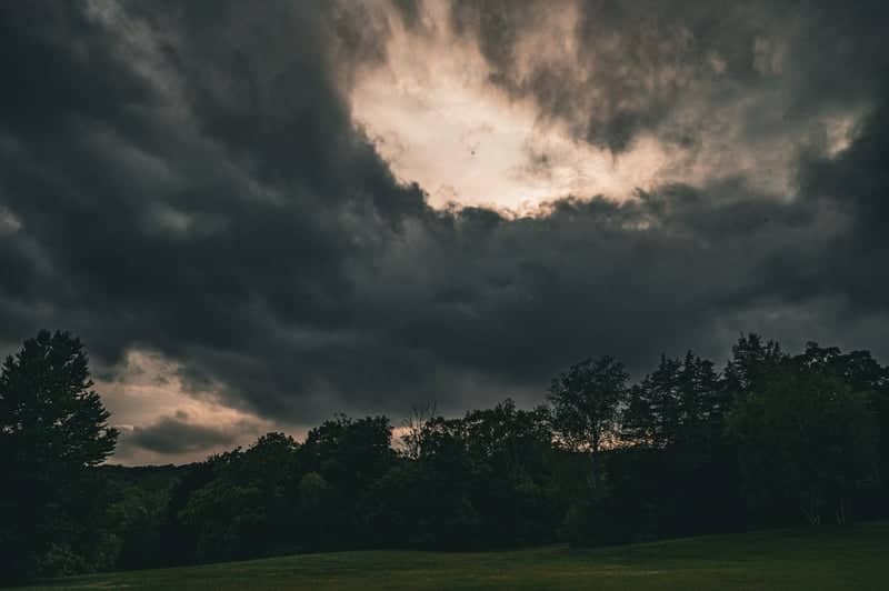 Harriman Foothills Meadow - Image 1