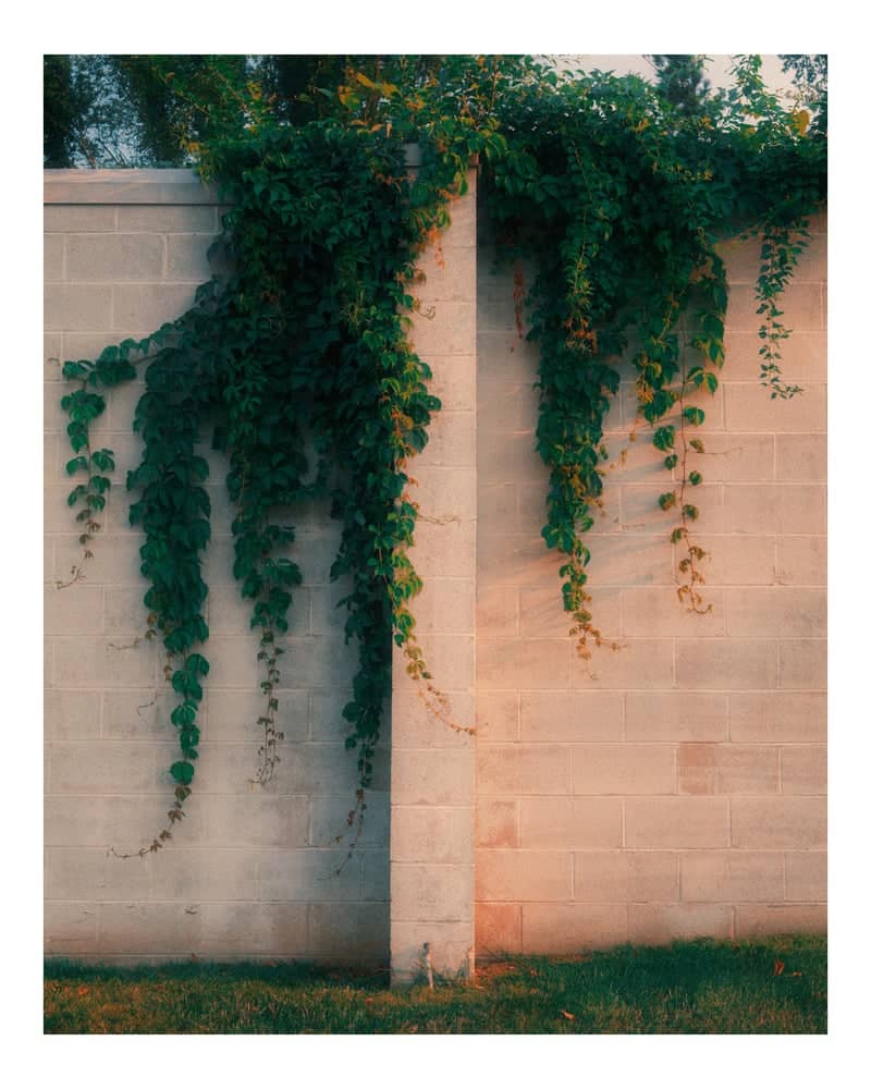Rainbow Avenue Garden Wall - Image 1