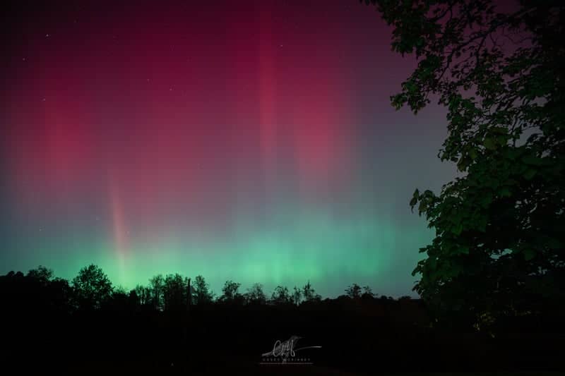 Foster Kentucky Night Sky - Image 1