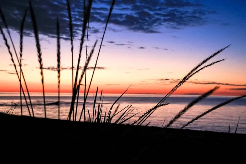 Lake Erie Shoreline at Silver Creek - Image 1
