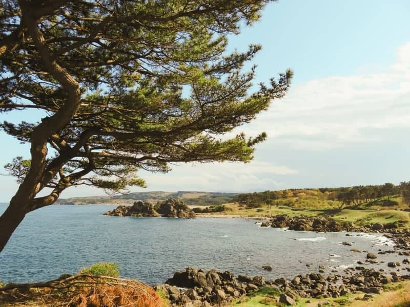 Tanesashi Coast - Image 1