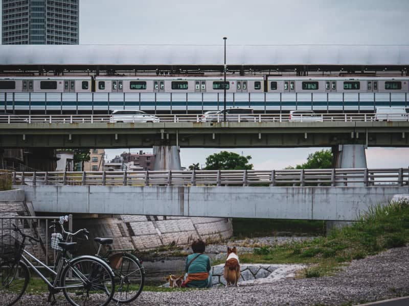 Tama Riverbank at Futako-Tamagawa - Image 1