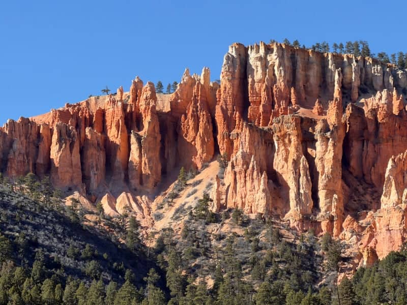 Red Canyon Hoodoos - Image 1
