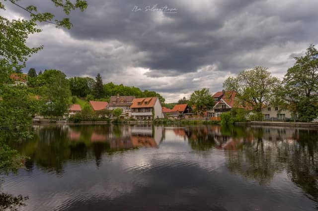 Ilsenburg Pond Reflection - Image 1