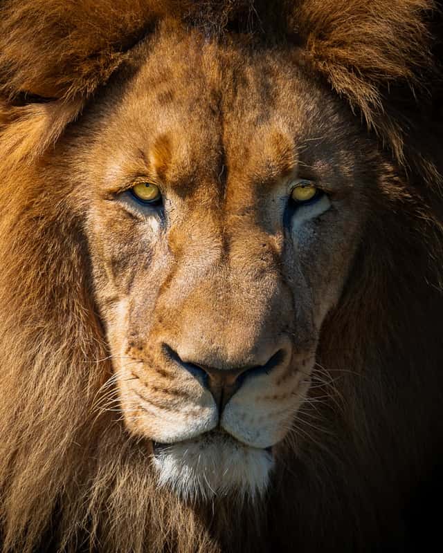 Taronga Zoo Sydney