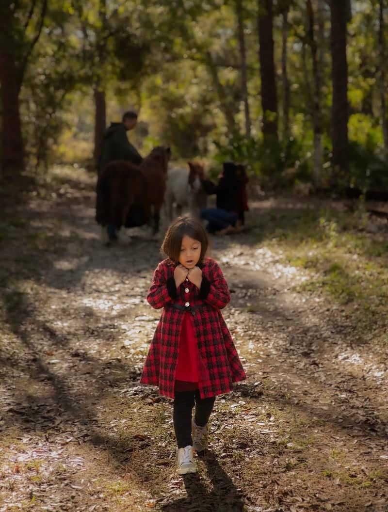 Land O' Lakes Heritage Park - Image 1