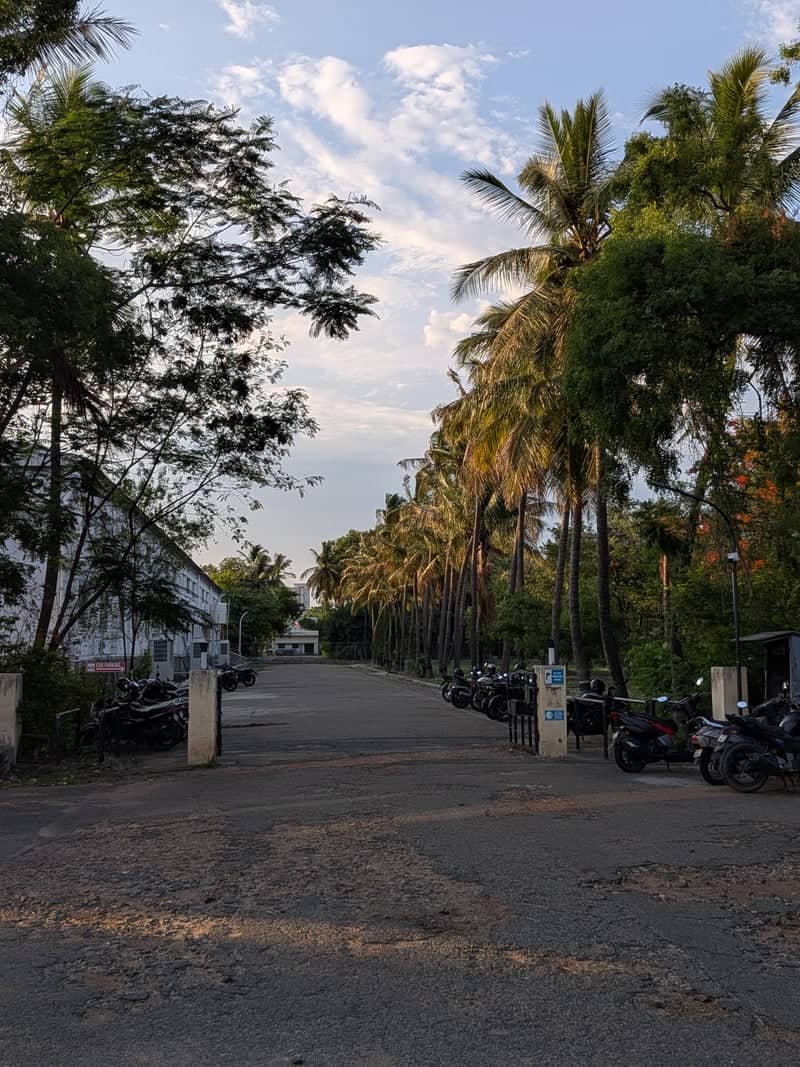 Palm-Lined Campus Drive, Coimbatore - Image 1
