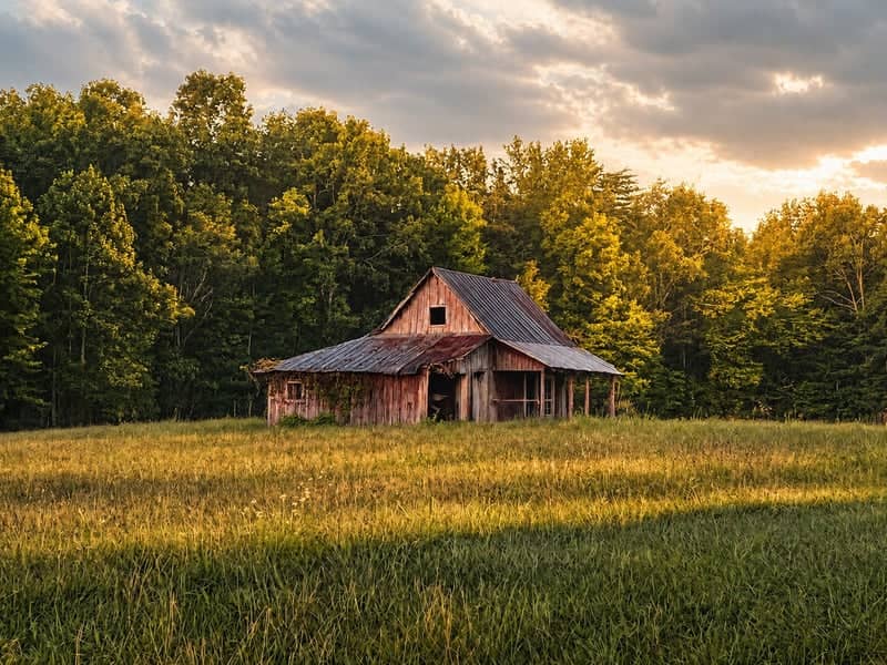 Rustic Barn at Sale Creek - Image 1
