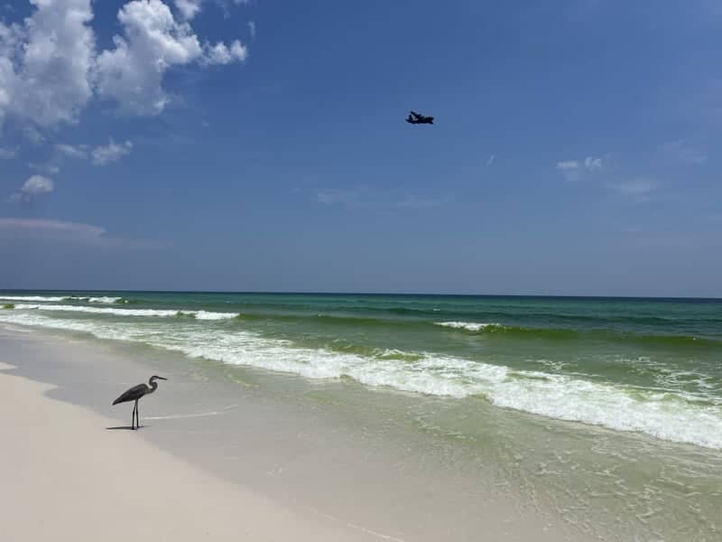 Santa Rosa Beach - Image 1