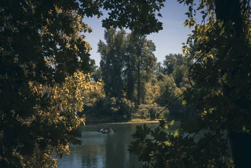 Willamette River at Wilsonville - Image 1