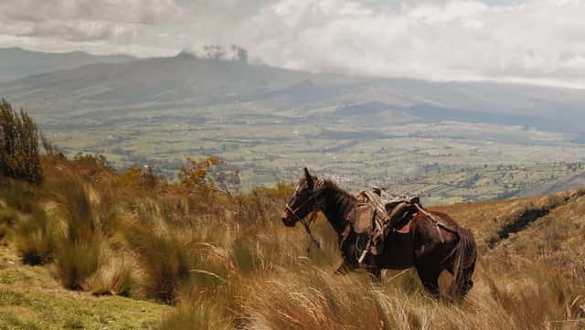 Andean Paramo Overlook