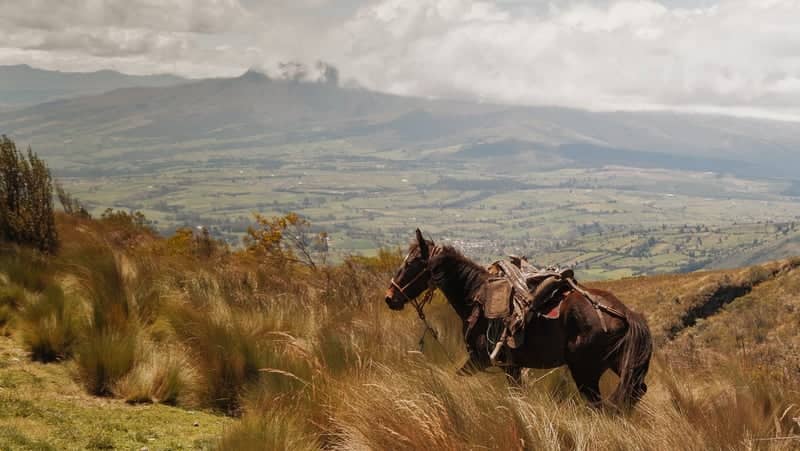 Andean Paramo Overlook - Image 1