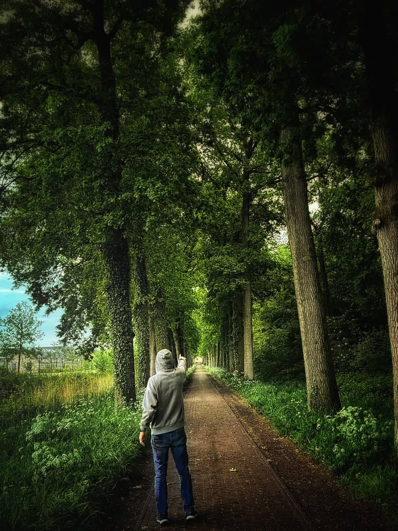 Amersfoort Green Belt Path - Image 1